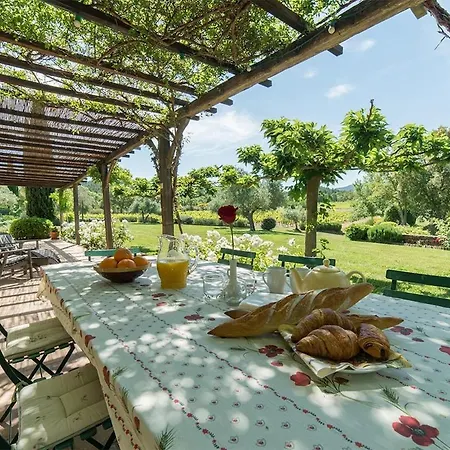 Vineyard Spacious Cozy Retreat In Nature Friend And Family * La Garde-Freinet